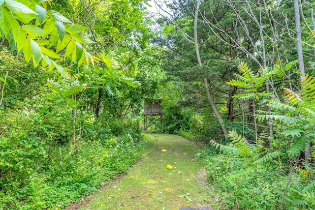 126 Paper Mill Rd, Eldora, NJ 08270 - photo 8