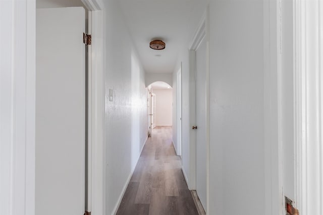 corridor with wood-type flooring