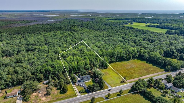 1731 Rte 47, Eldora, NJ 08270 - aerial view of property and surrounding area featuring a heavily wooded area and property boundaries highlighted