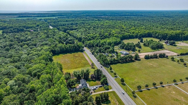1731 Rte 47, Eldora, NJ 08270 - aerial view of a forest