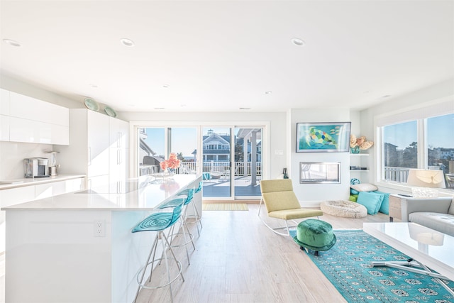 living room featuring light hardwood / wood-style floors