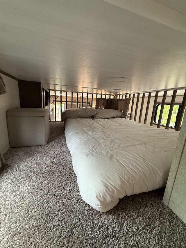 515 Corson Tavern Rd, Ocean View, NJ 08230 - bedroom with carpet floors and multiple windows