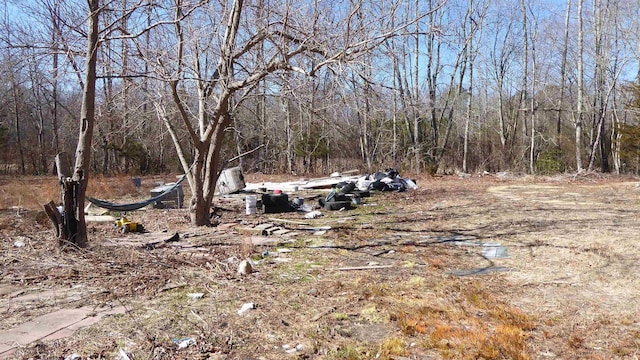 view of yard with a wooded view