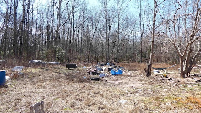 view of yard featuring a view of trees