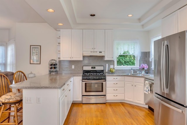 119 Stevens St, West Cape May, NJ 08204 - kitchen featuring stainless steel appliances, a peninsula, under cabinet range hood, white cabinets, and a tray ceiling