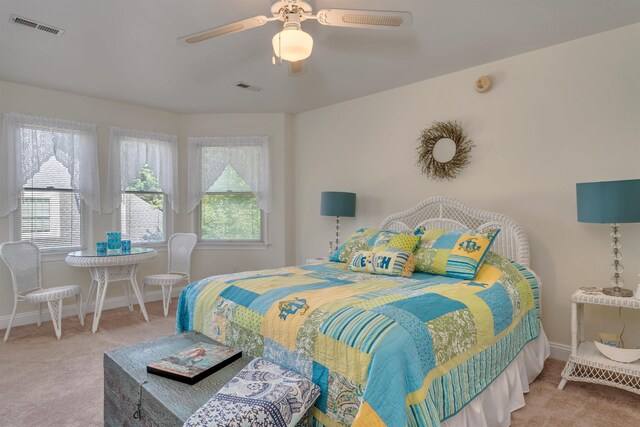 119 Stevens St, West Cape May, NJ 08204 - carpeted bedroom with multiple windows and ceiling fan