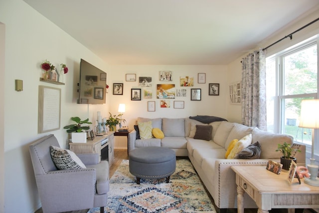 living room with light wood-type flooring