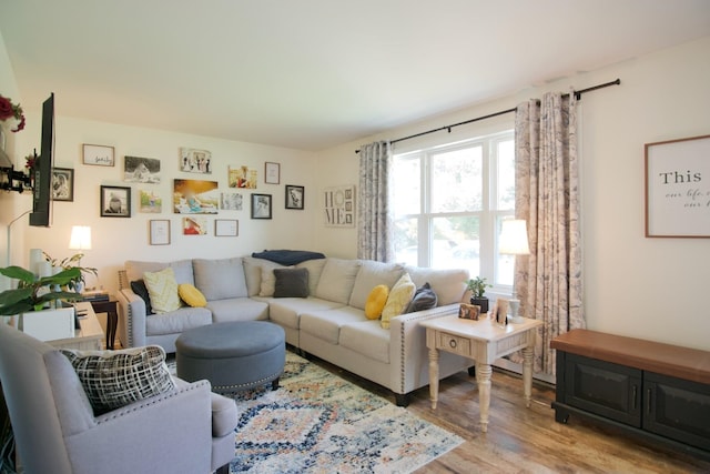 living room featuring light hardwood / wood-style floors