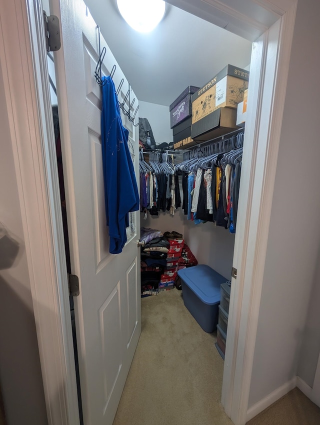 walk in closet with carpet