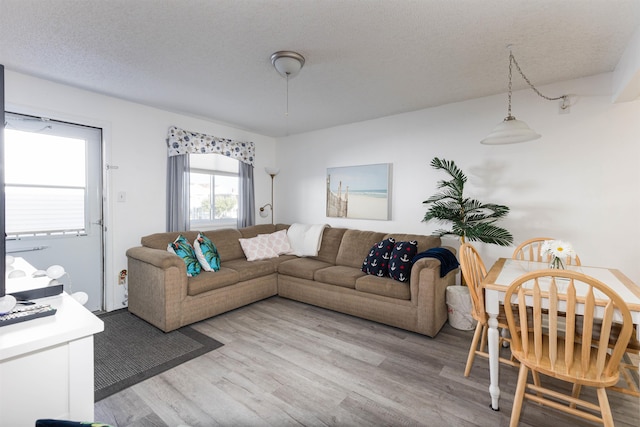 living room with wood-type flooring and a textured ceiling