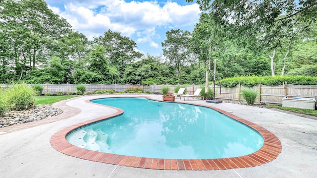 13 Mooring Cir, Seaville, NJ 08230 - view of swimming pool with a patio, a fenced backyard, and view of wooded area