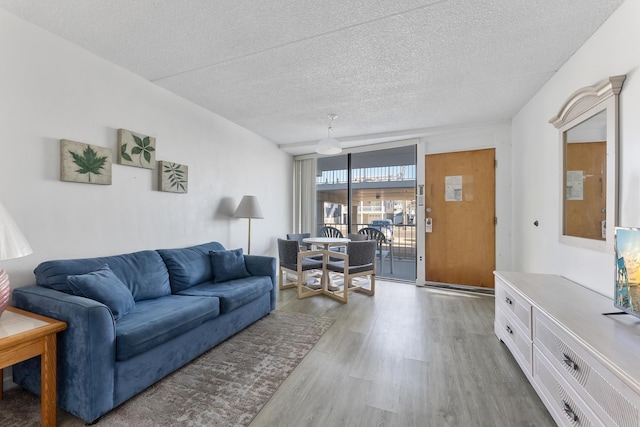 living room with light hardwood / wood-style floors and a textured ceiling