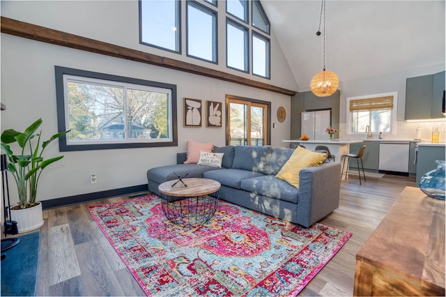 512 Robin Rd, Villas, NJ 08251 - living area featuring high vaulted ceiling, light wood finished floors, and baseboards