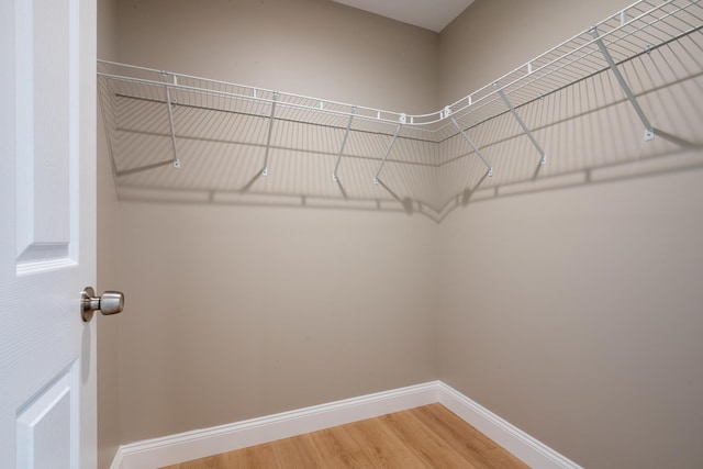 walk in closet with light wood-type flooring