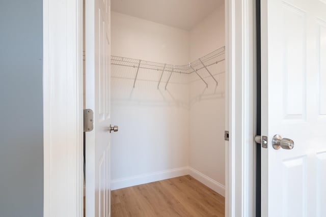 spacious closet featuring light wood-type flooring