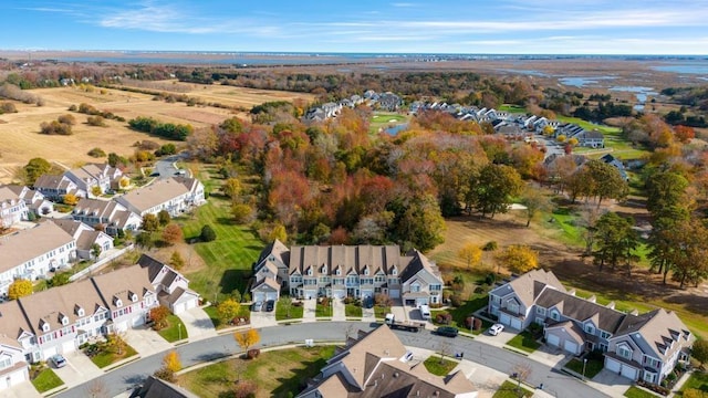 bird's eye view