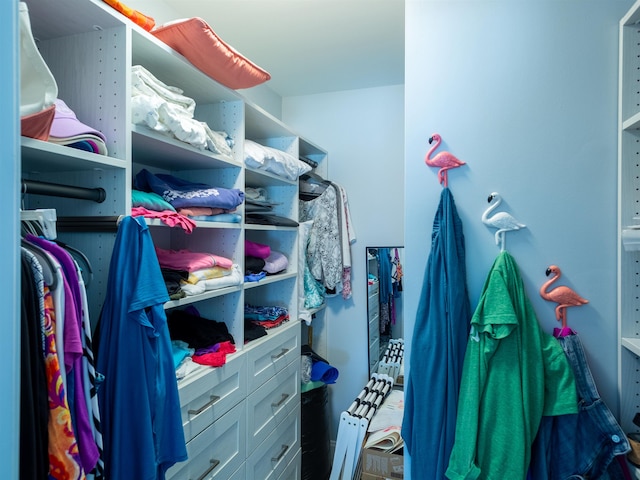 view of spacious closet