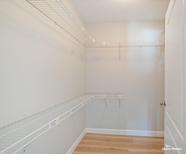 walk in closet with light wood finished floors