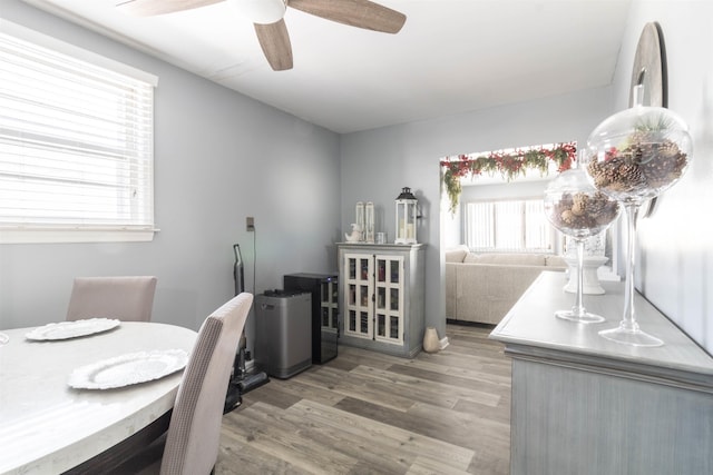 dining space featuring wood-type flooring