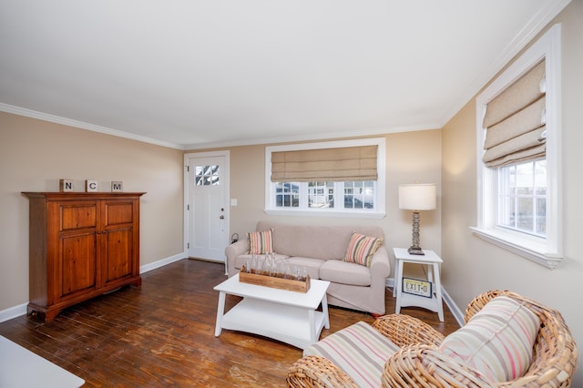 living area featuring dark wood-style floors, baseboards, and ornamental molding