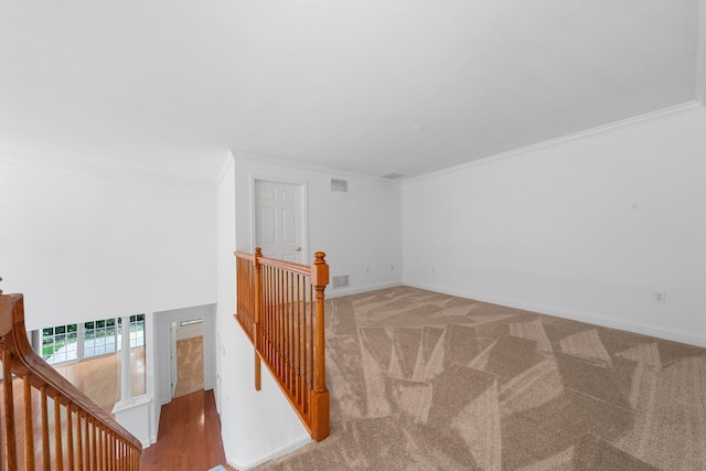 interior space featuring carpet floors and crown molding