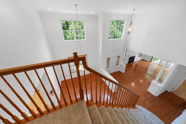 staircase with hardwood / wood-style flooring and ornamental molding