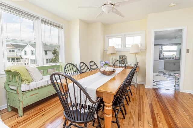 dining space with ceiling fan and light wood-type flooring