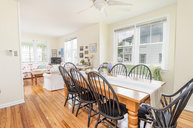 dining room with a wealth of natural light, light hardwood / wood-style floors, and ceiling fan