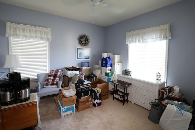 carpeted office featuring ceiling fan