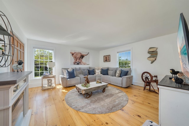 892 Weeks Landing Rd, Erma, NJ 08204 - living area featuring plenty of natural light, light wood finished floors, and baseboards