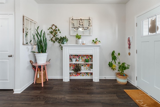 foyer featuring dark hardwood / wood-style flooring