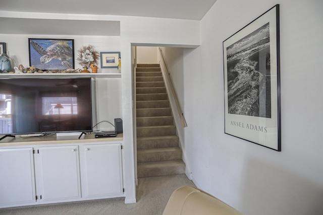 staircase featuring carpet flooring