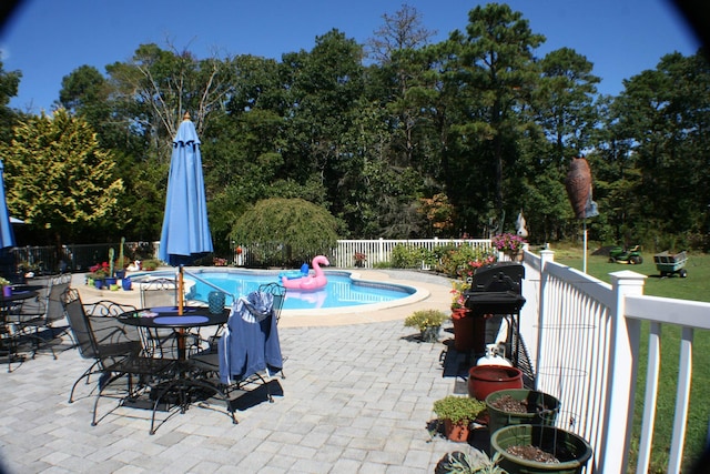 view of pool with a patio area and a grill