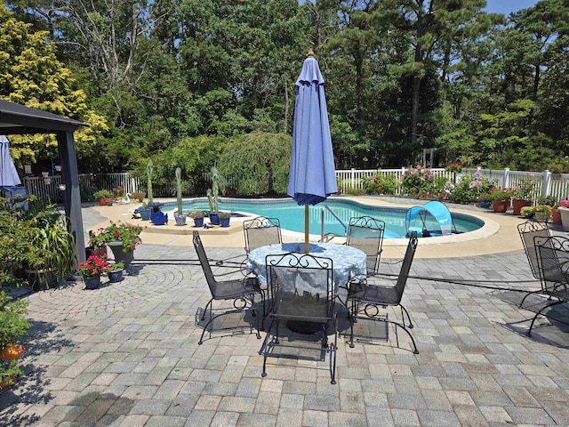 view of pool with a patio area