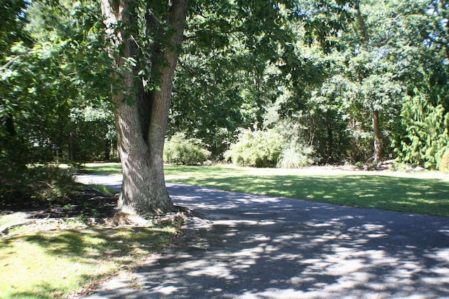 view of street