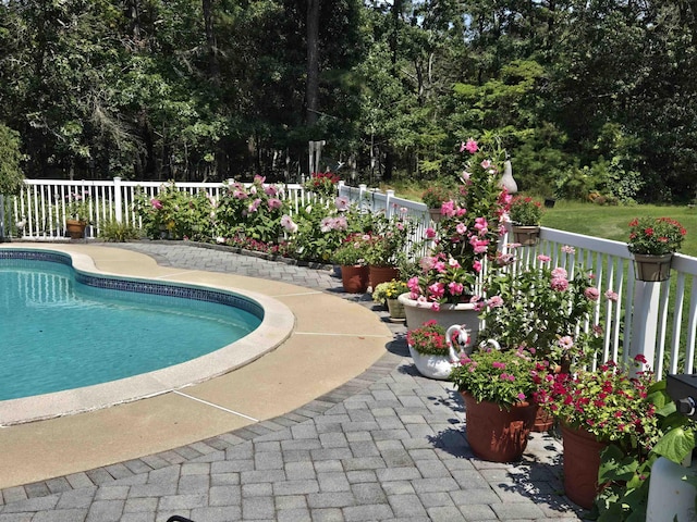 view of pool featuring a patio