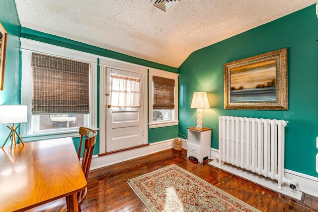 foyer with dark hardwood / wood-style flooring, lofted ceiling, a textured ceiling, and radiator