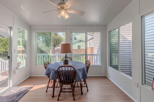 1319 Massachusetts Ave, Cape May, NJ 08204 - photo 24