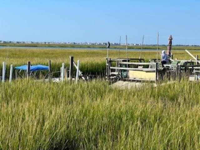 75 W Boardwalk, Grassy Sound, NJ 08260 - view of yard with a boat dock