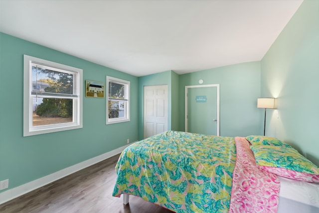 bedroom featuring a closet and wood-type flooring