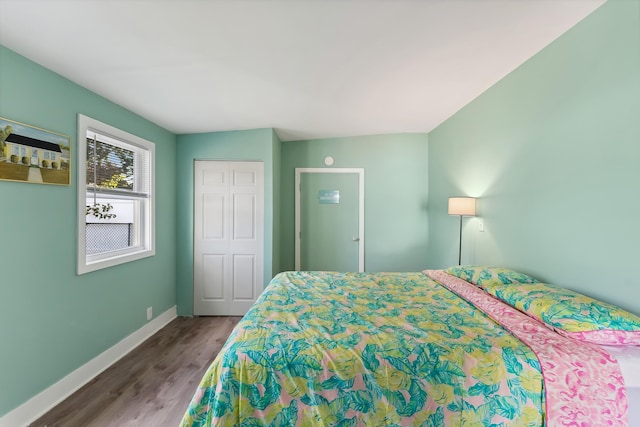 bedroom with wood-type flooring and a closet