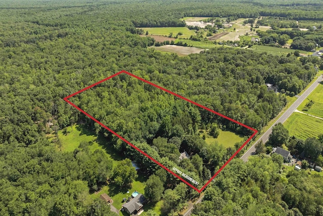 271 Hands Mill Rd, Belleplain, NJ 08270 - photo 2
