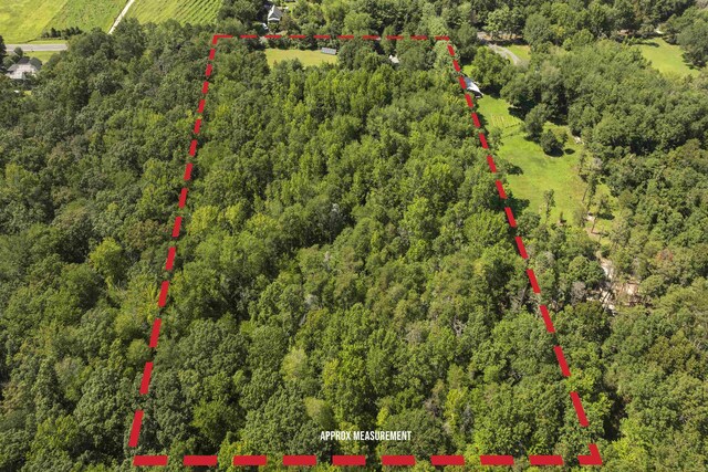 271 Hands Mill Rd, Belleplain, NJ 08270 - photo 50