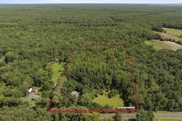271 Hands Mill Rd, Belleplain, NJ 08270 - photo 3