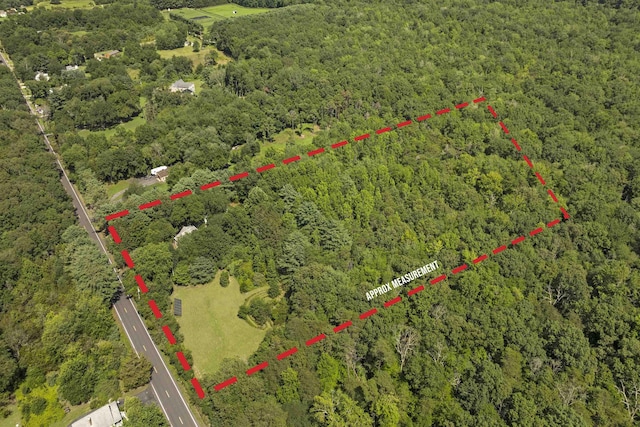 271 Hands Mill Rd, Belleplain, NJ 08270 - photo 4