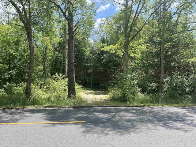 James Moore Rd, Port Norris NJ, 08349 land for sale