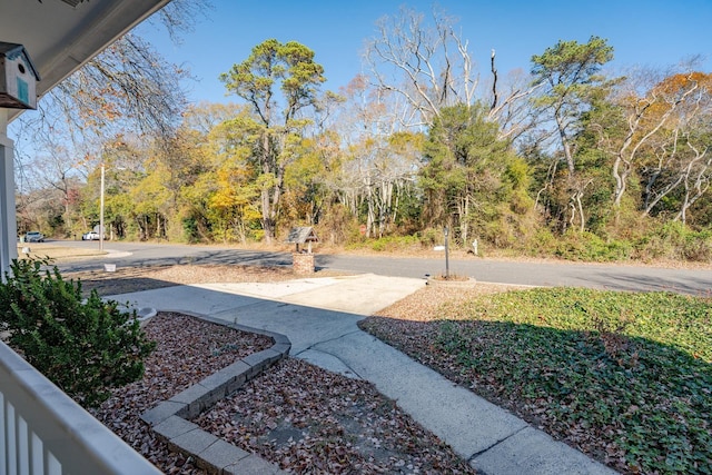 202 Pacific Ave, Palermo, NJ 08223 - view of yard