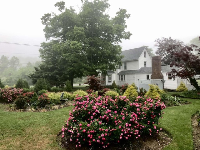 35 Bayshore Rd, Green Creek, NJ 08219 - view of green lawn