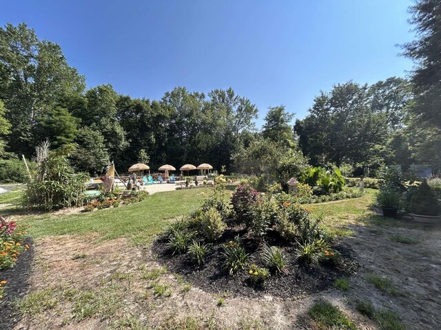 35 Bayshore Rd, Green Creek, NJ 08219 - view of green lawn