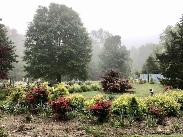35 Bayshore Rd, Green Creek, NJ 08219 - view of yard